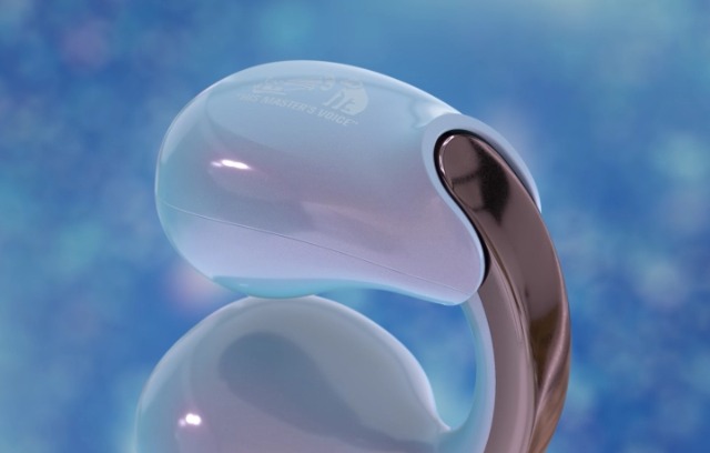 Amazon.co.jp: JVCケンウッド Victor HA-NP1T-PN ワイヤレスイヤホン